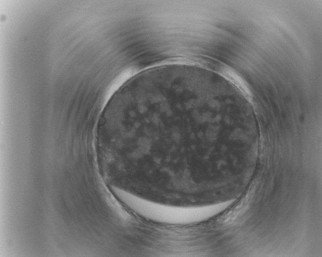 X0000088590907200706011134