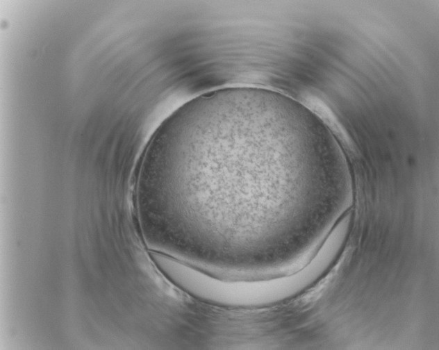 X0000088590908200706011134