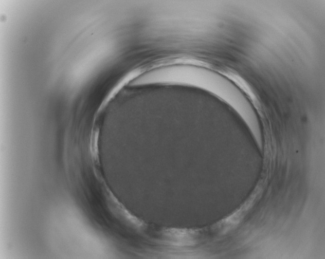 X0000088590910200706011134