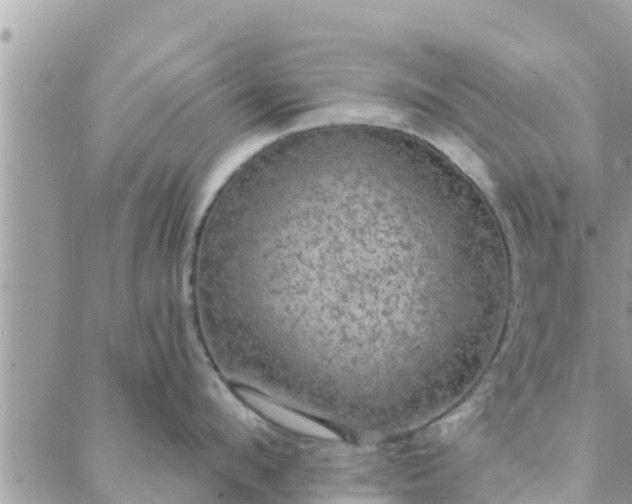 X0000088590912200706011134