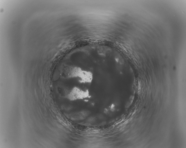 X0000088590913200706011134