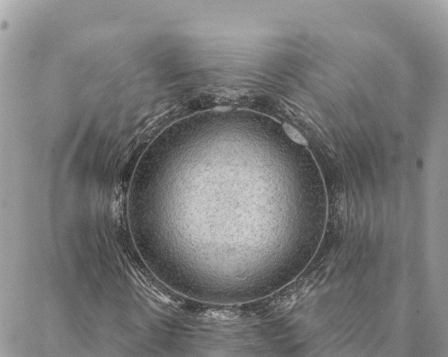 X0000088590914200706011134