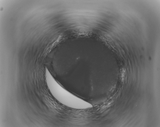 X0000088590916200706011134