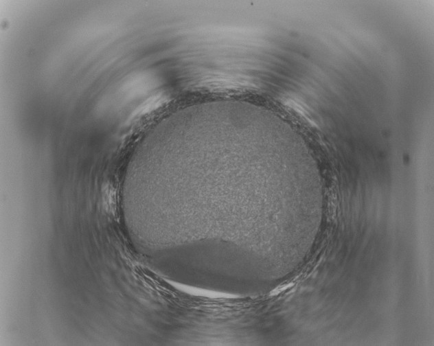 X0000088590917200706011134