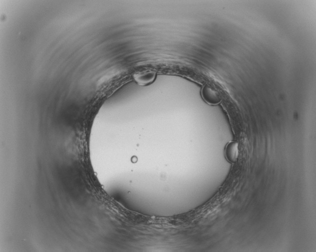 X0000088590918200706011134