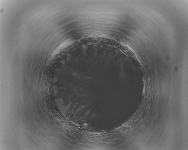 X0000088590919200706011134