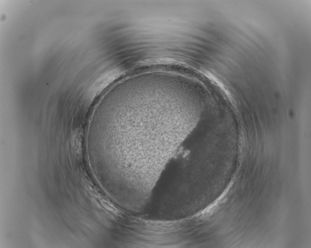 X0000088590921200706011134