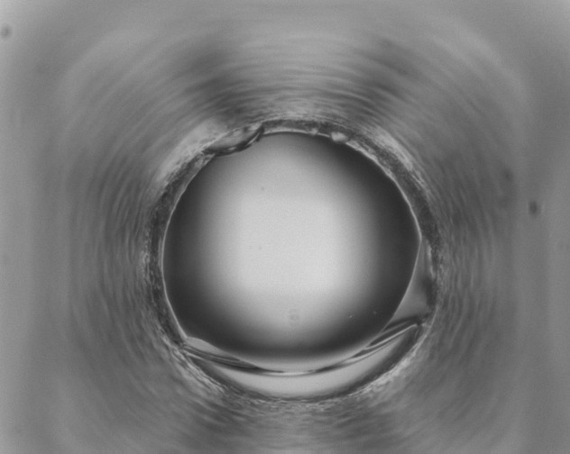 X0000088590922200706011134