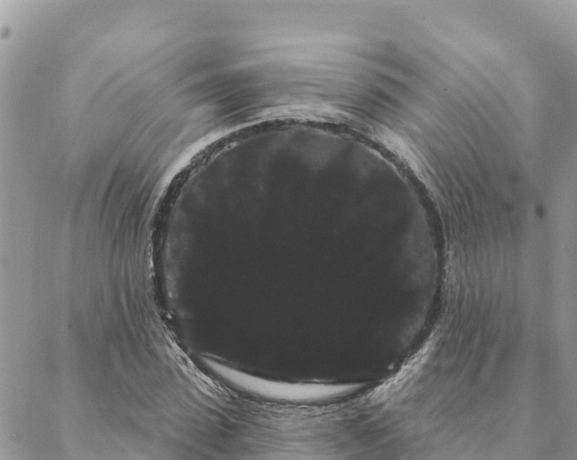 X0000088590923200706011134