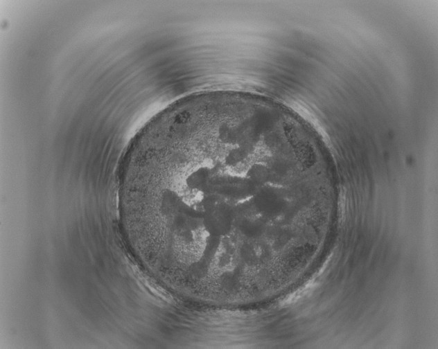 X0000088590925200706011134