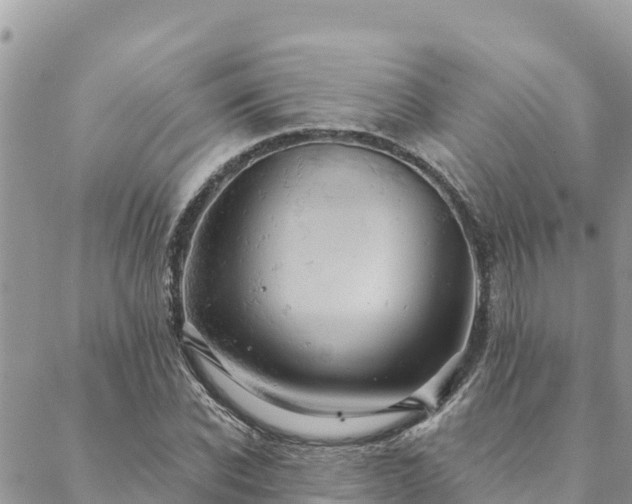 X0000088590926200706011134