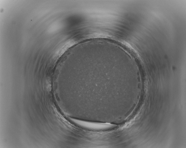 X0000088590929200706011134