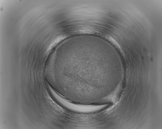 X0000088590930200706011134