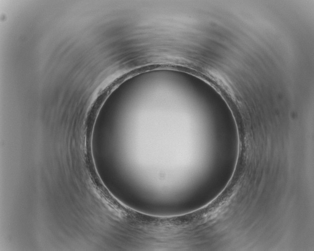 X0000088590931200706011134