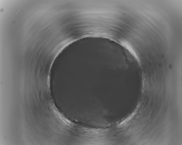 X0000088590932200706011134