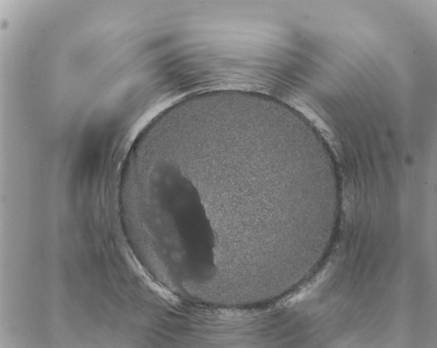 X0000088590933200706011134