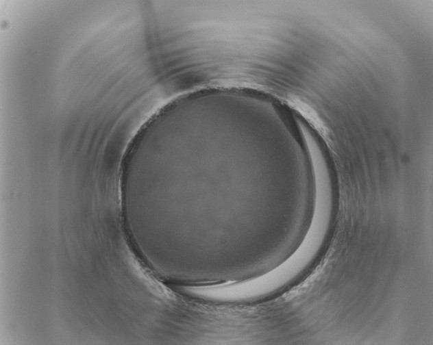 X0000088590934200706011134