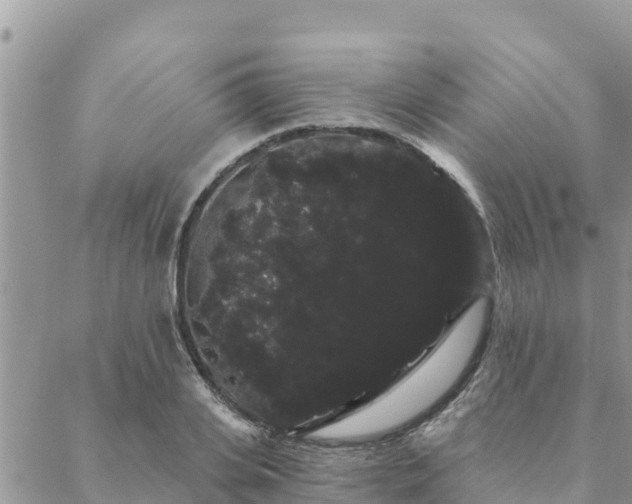 X0000088590935200706011134