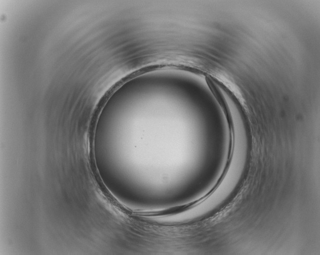 X0000088590936200706011134