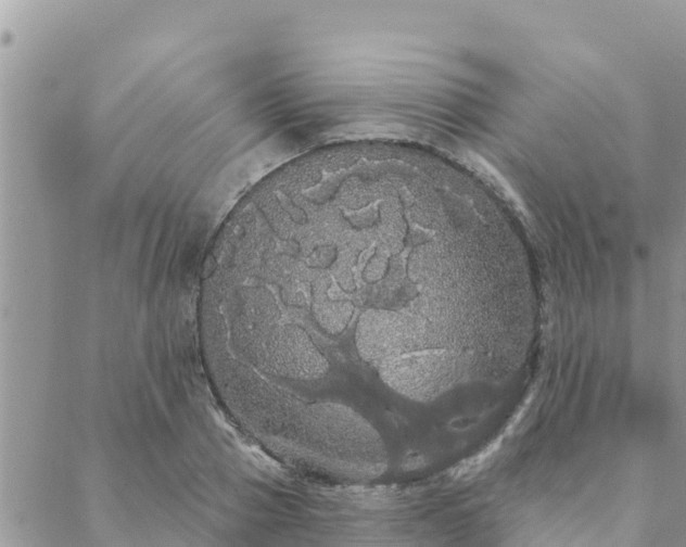 X0000088590937200706011134