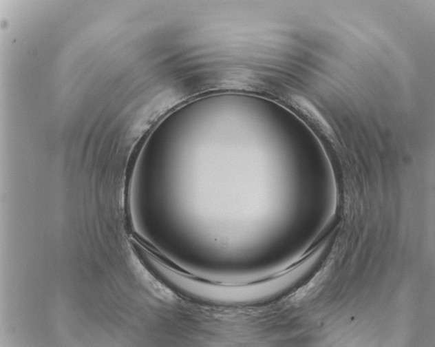 X0000088590938200706011134