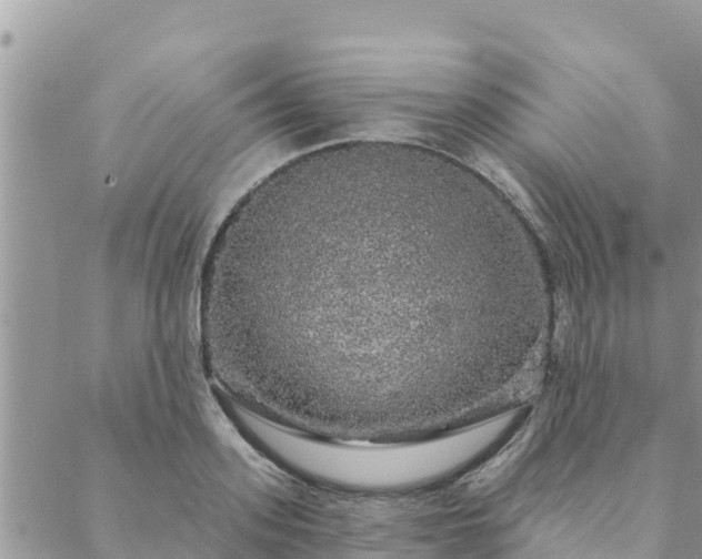 X0000088590939200706011134