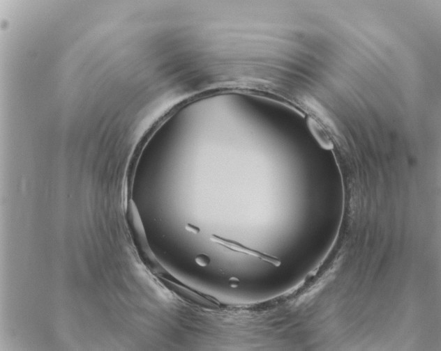 X0000088590940200706011134