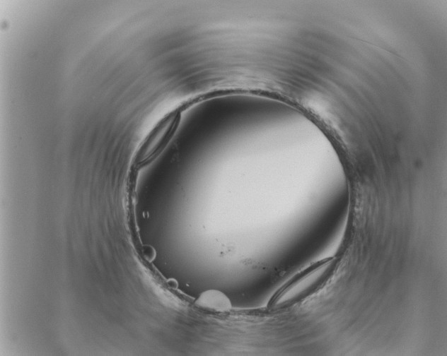 X0000088590942200706011134