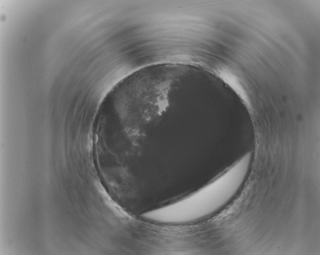 X0000088590944200706011134