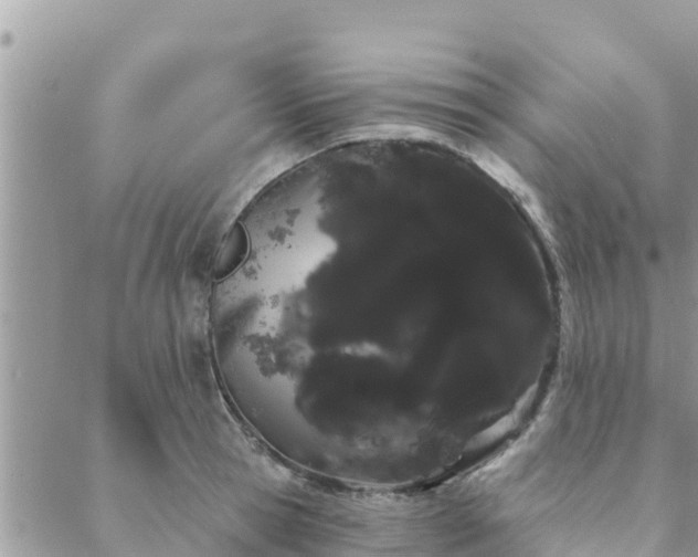 X0000088590945200706011134