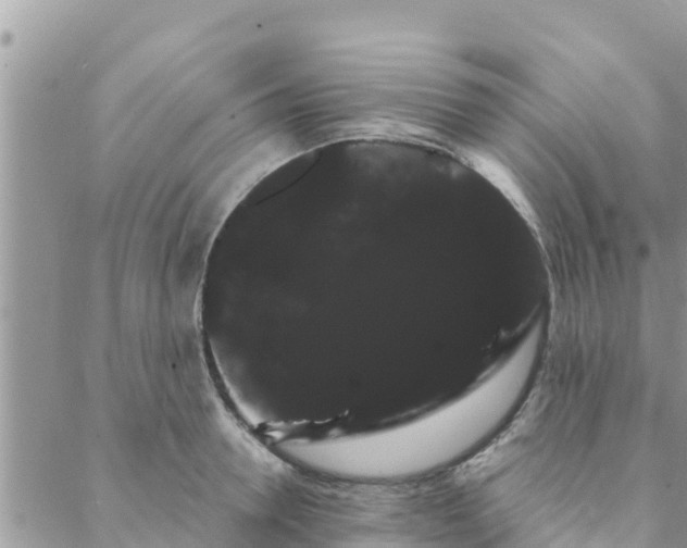 X0000088590946200706011134