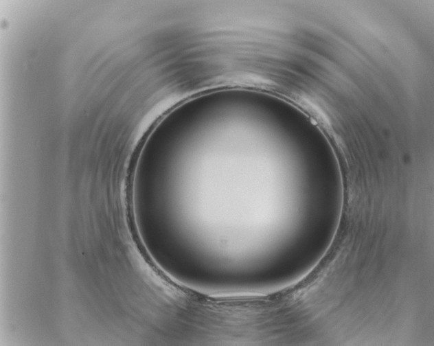 X0000088590947200706011134