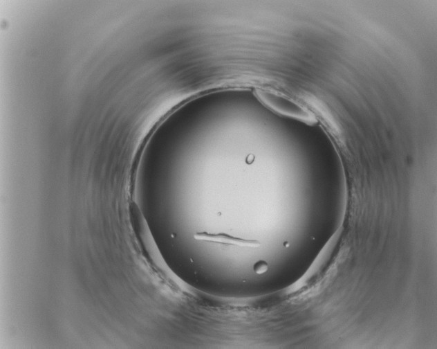 X0000088590948200706011134