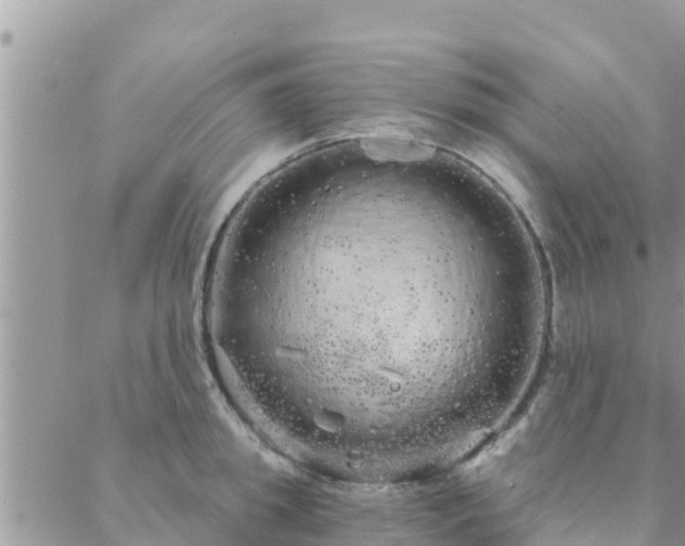 X0000088590949200706011134