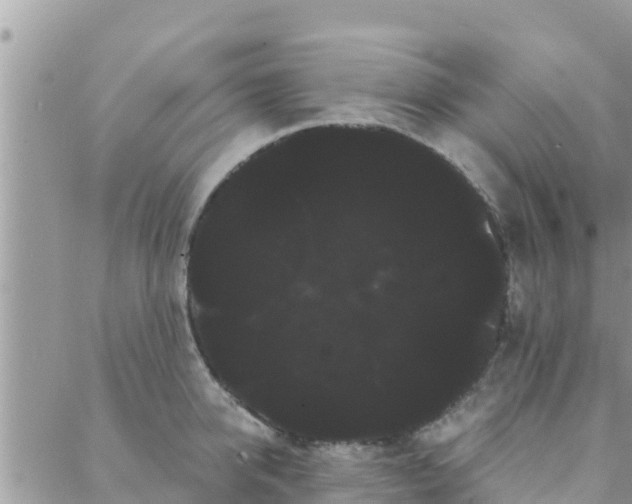 X0000088590950200706011134