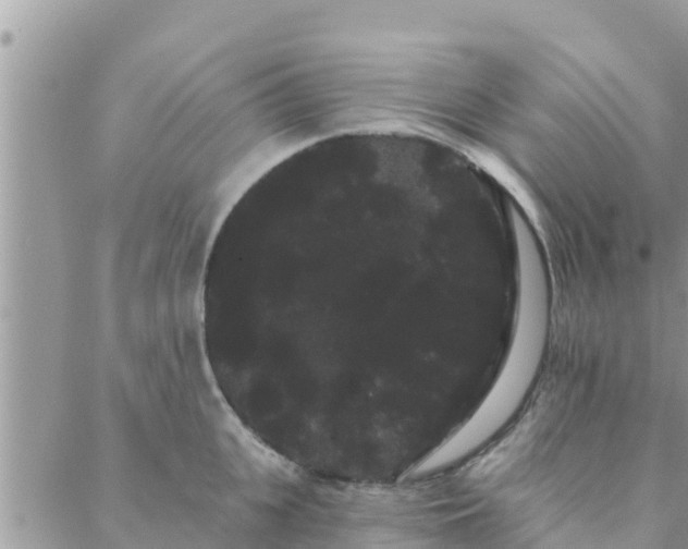 X0000088590951200706011134