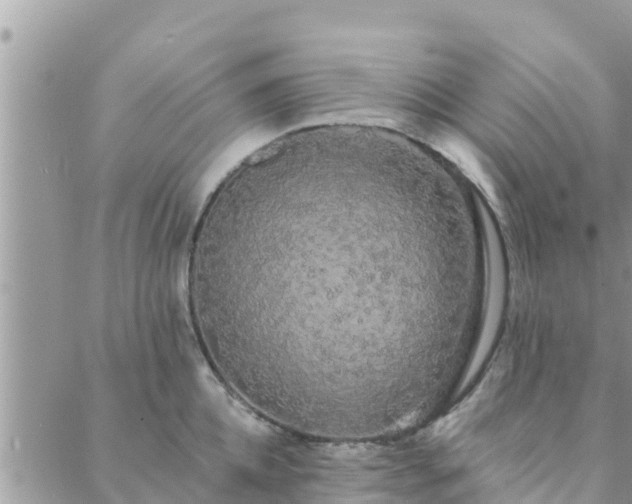 X0000088590952200706011134