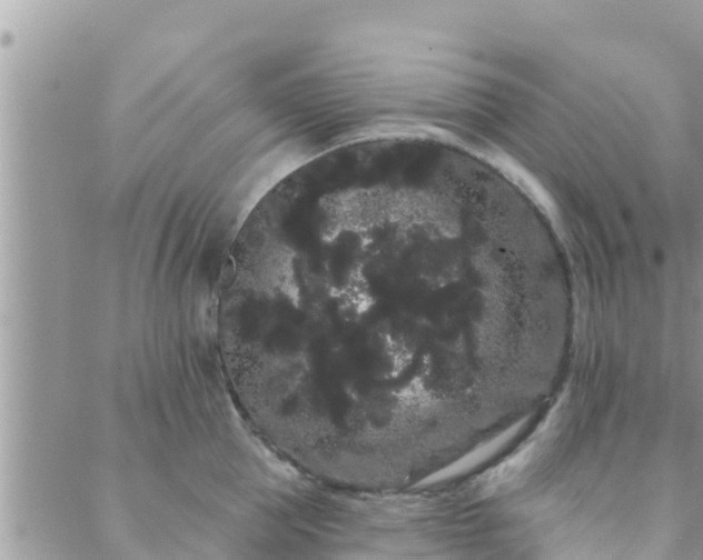 X0000088590953200706011134