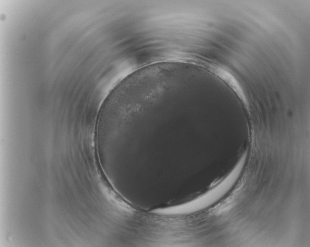 X0000088590954200706011134