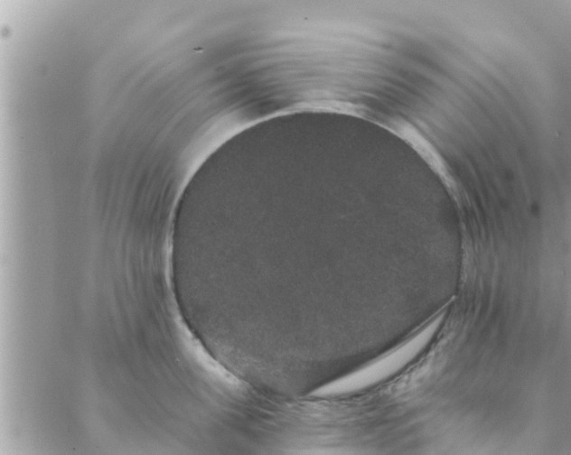 X0000088590955200706011134