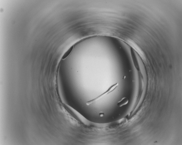 X0000088590956200706011134