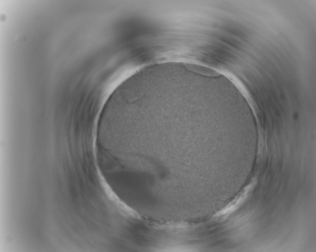 X0000088590957200706011134