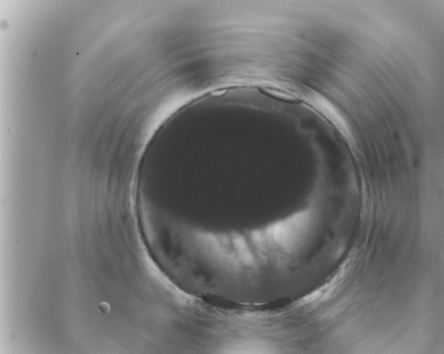 X0000088590958200706011134