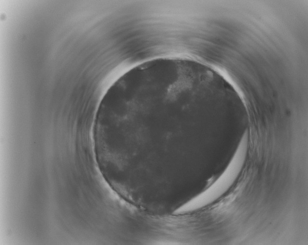 X0000088590959200706011134