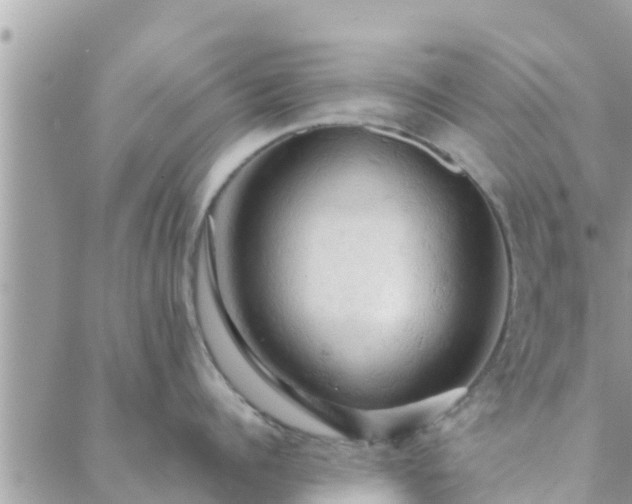 X0000088590960200706011134