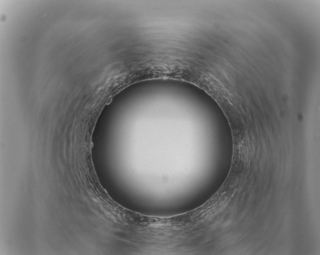 X0000088590961200706011134