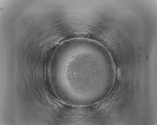 X0000088590963200706011134