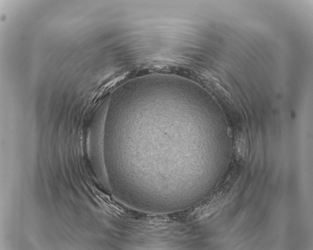 X0000088590964200706011134