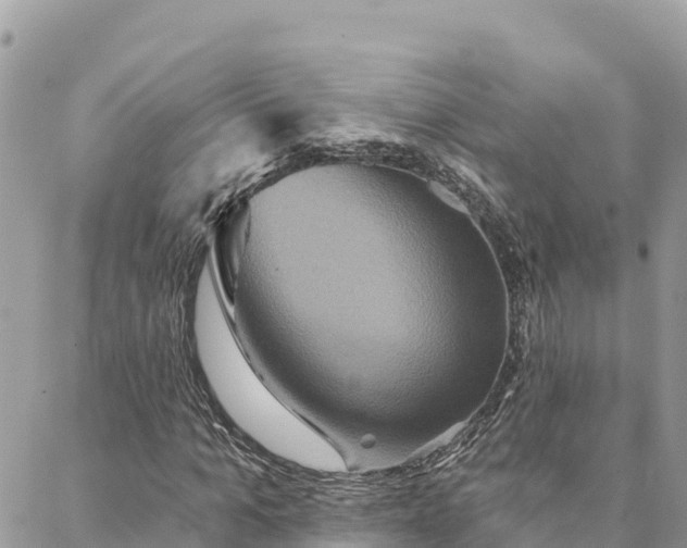 X0000088590965200706011134