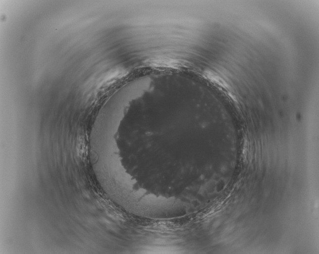 X0000088590966200706011134